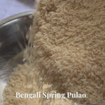 Load and play video in Gallery viewer, Bengali Spring Pulao
